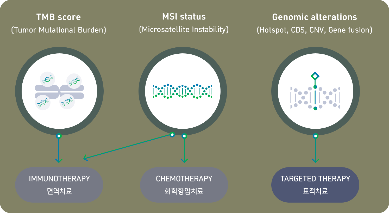 유전적 진단과 표적항암제 치료결정을 위한 검사 설명표