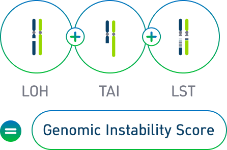 LOH+TAI+LST=Genomic Instability Score