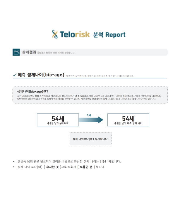 Telorist 분석 리포트 이미지