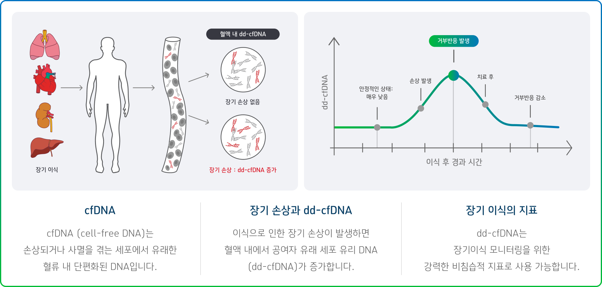 리스크스크린 유전이자를 분석하여 질환 발병 위험도를 확인